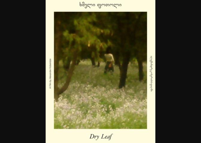 Dry Leaf (2025)
