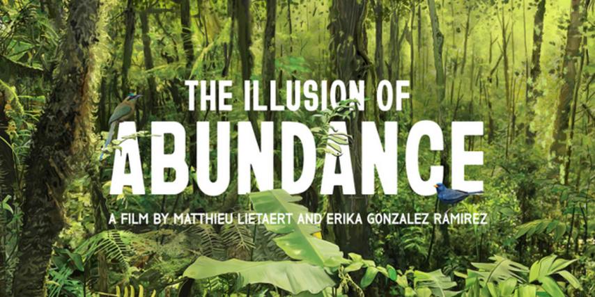 The Illusion of Abundance (2023)